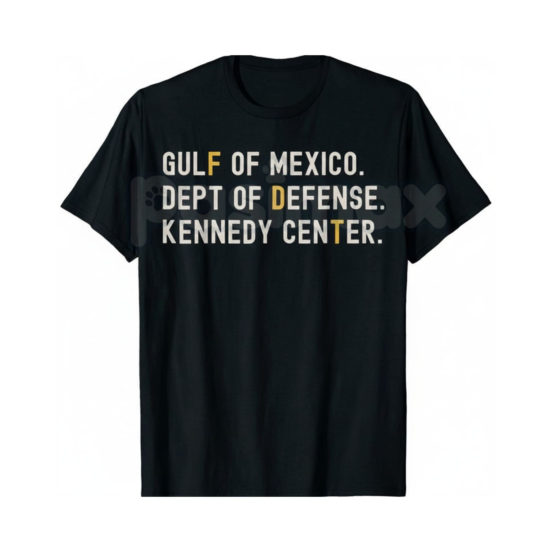 Pasimax Gulf of Mexico Dept of Defense T-Shirt - Kennedy Center Graphic Tee, Esoteric Government Agency Apparel, Niche Milita