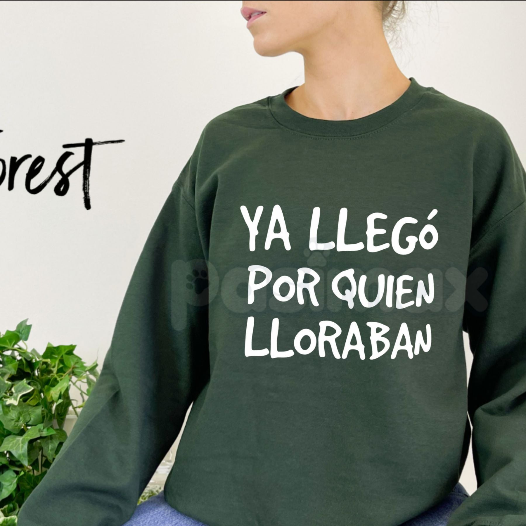Pasimax Ya Llego Por Quien Lloraban Spanish Quote Shirt | Funny Sarcastic Sweatshirt | Latina Main Character Crewneck | Witty