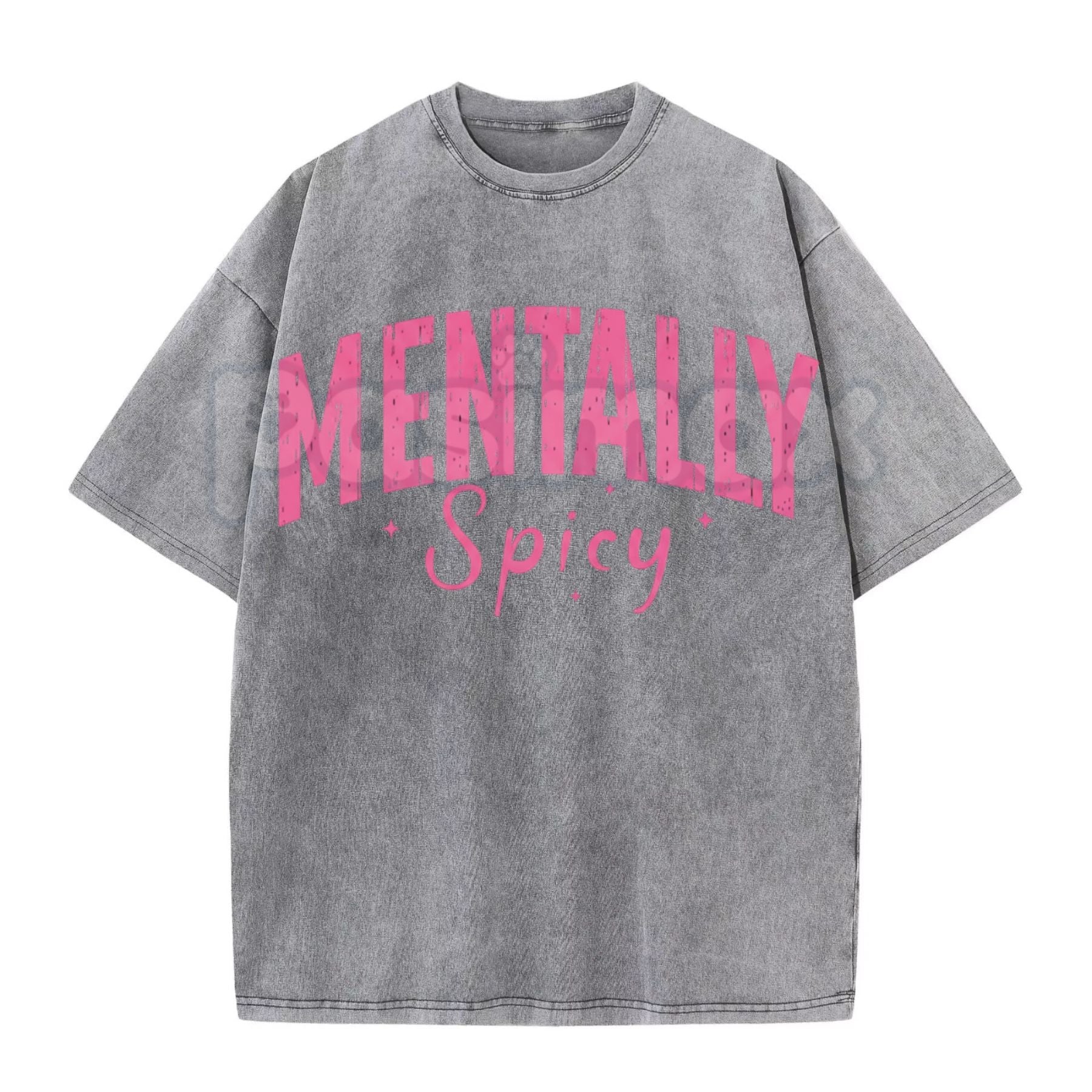 Pasimax Mentally Spicy Washed T-Shirt – Funny Sarcastic Quote Tee, Vintage Oversized Graphic Shirt — detail close-up