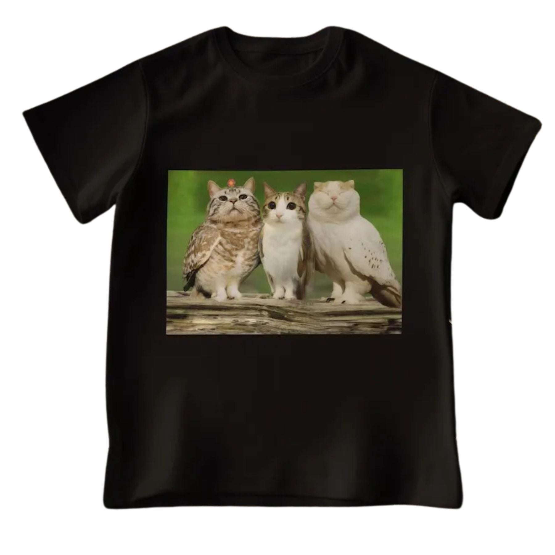 Pasimax "Meowl with Family" Meme T-shirt — detail close-up