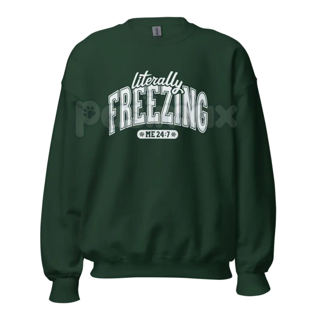 Pasimax The Cold Truth: "Literally Freezing" Unisex Garment-Dyed Sweatshirt – Winter Cozy Wear — lifestyle context