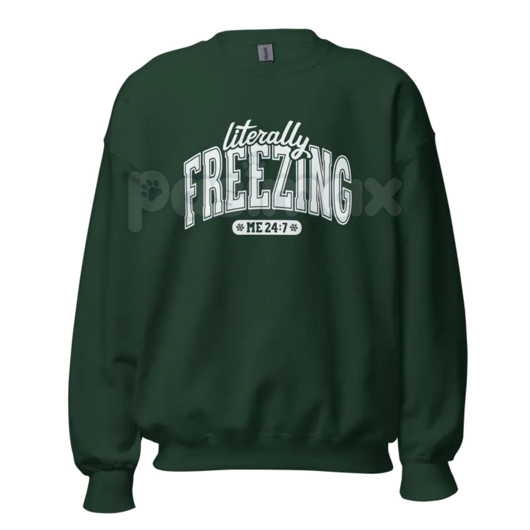 Pasimax The Cold Truth: "Literally Freezing" Unisex Garment-Dyed Sweatshirt – Winter Cozy Wear — lifestyle context