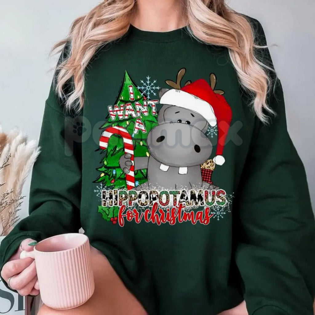 Pasimax I Want a Hippopotamus for Christmas Sweatshirt | Cute Nostalgic Holiday Song Jumper | Funny Hippo Xmas Crewneck Gift 