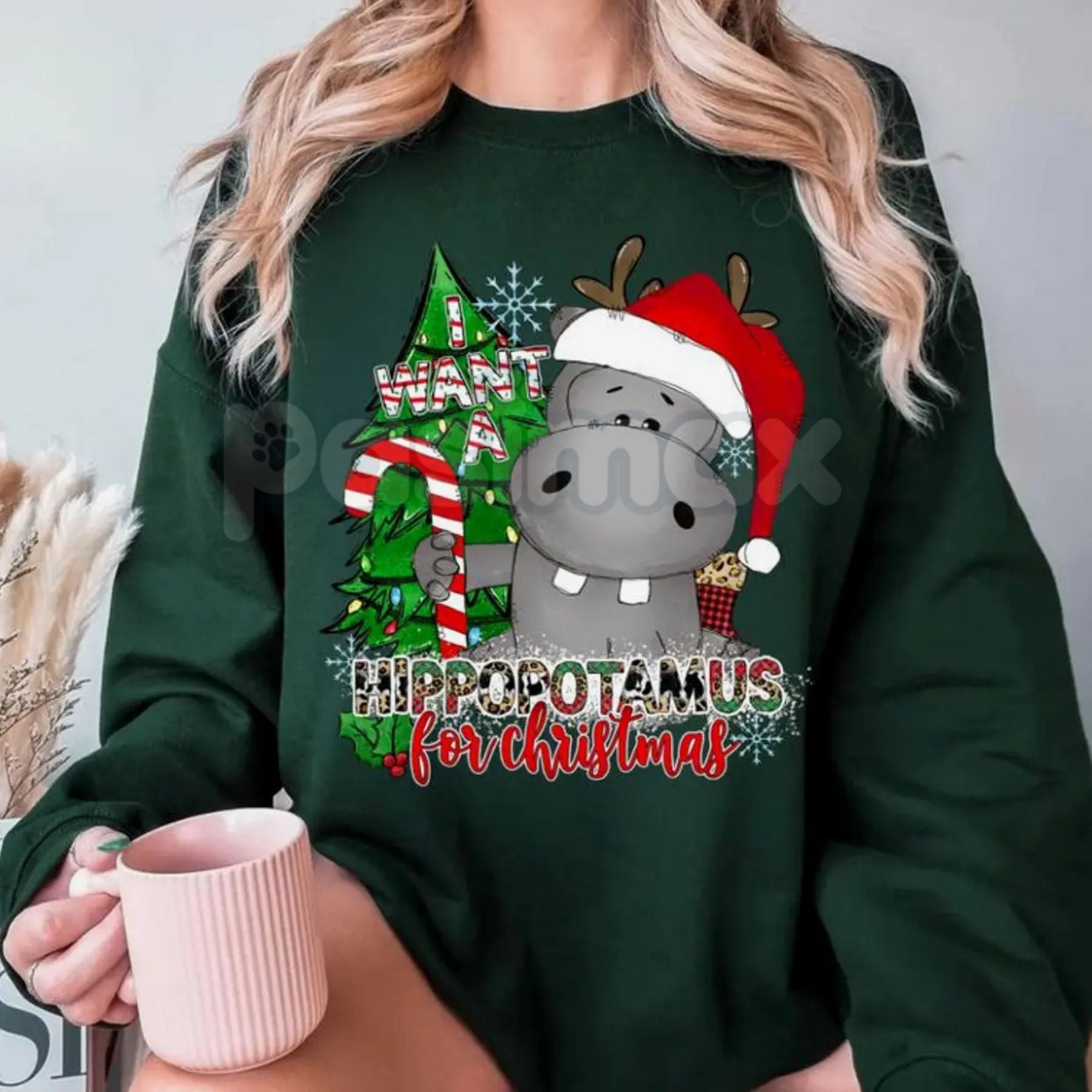 Pasimax I Want a Hippopotamus for Christmas Sweatshirt | Cute Nostalgic Holiday Song Jumper | Funny Hippo Xmas Crewneck Gift 
