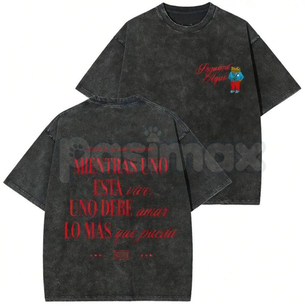 Pasimax Seguimo Aqui Sapo Concho Washed T-Shirt – Puerto Rican Reggaeton Streetwear, Perreo Babe Graphic Tee — lifestyle cont