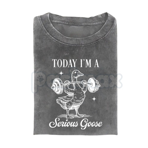 Today I'm a Serious Goose Funny T-Shirt – Men’s Vintage Washed Graphic Tee, Lightweight Sarcastic Animal Streetwear Top
