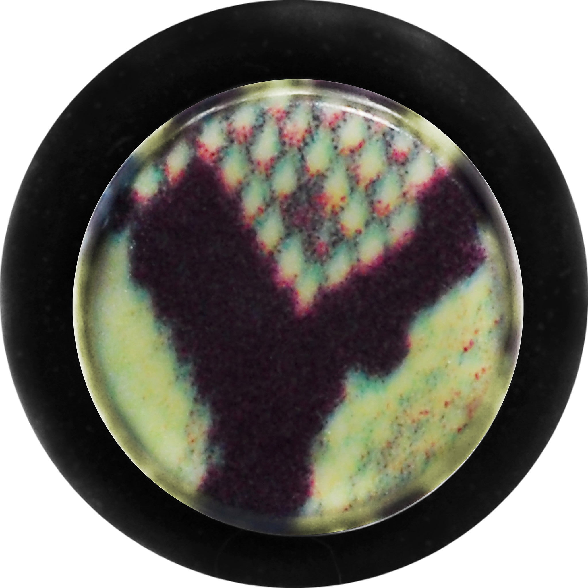 BodyCandy 8G Green Snake Skin Acrylic Taper — detail close-up