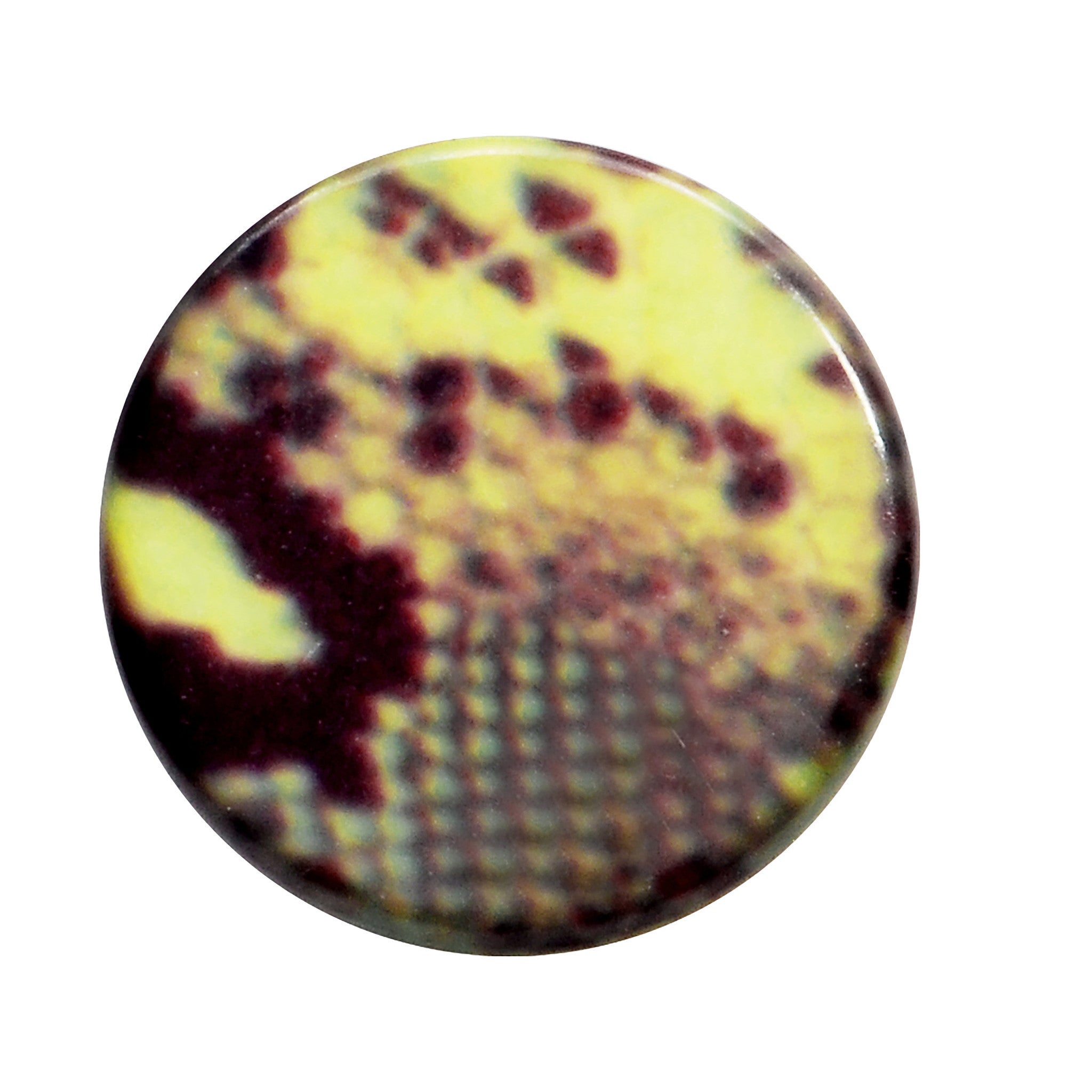BodyCandy 8G Green Snake Skin Acrylic Saddle Plug — detail close-up