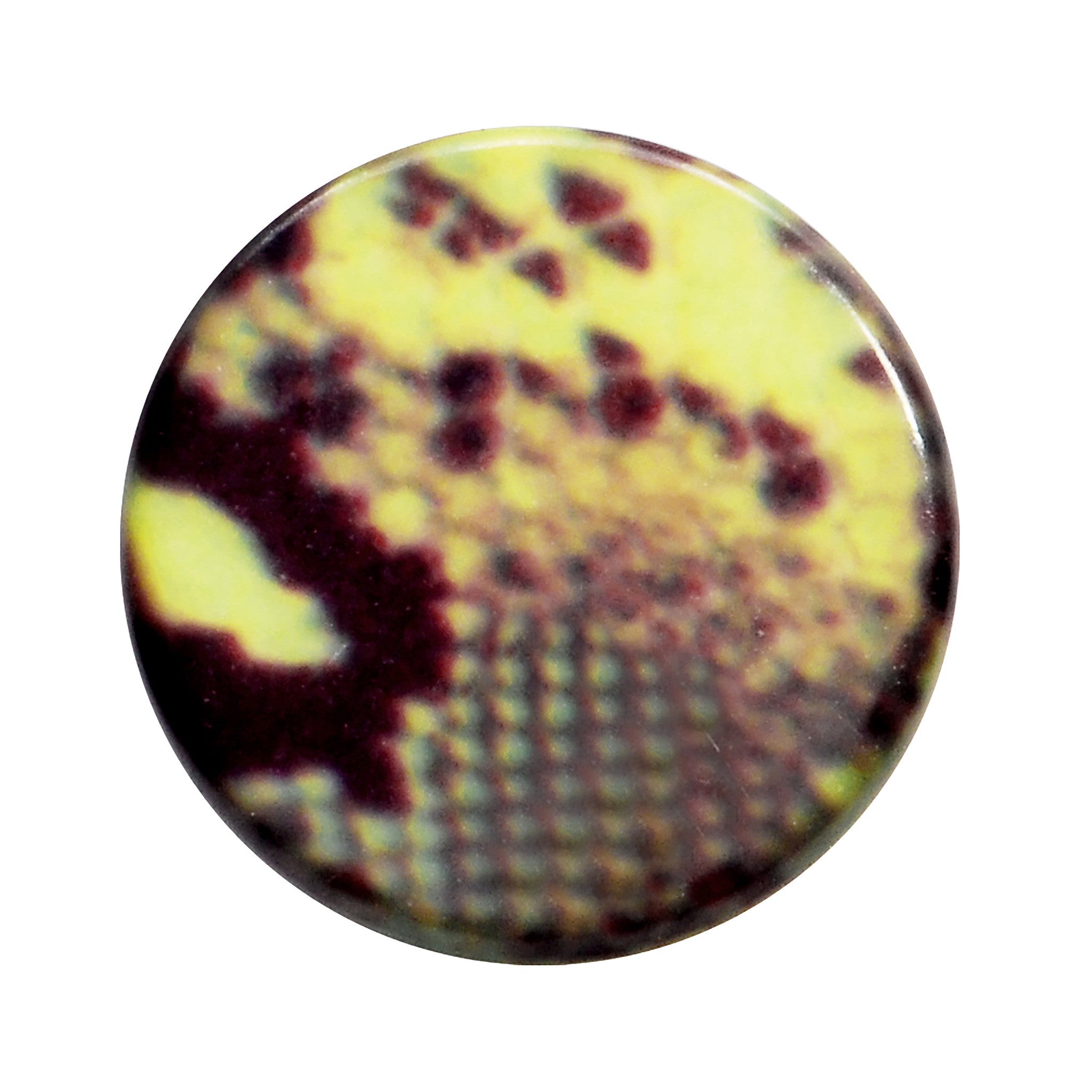 BodyCandy 6G Green Snake Skin Acrylic Saddle Plug — detail close-up