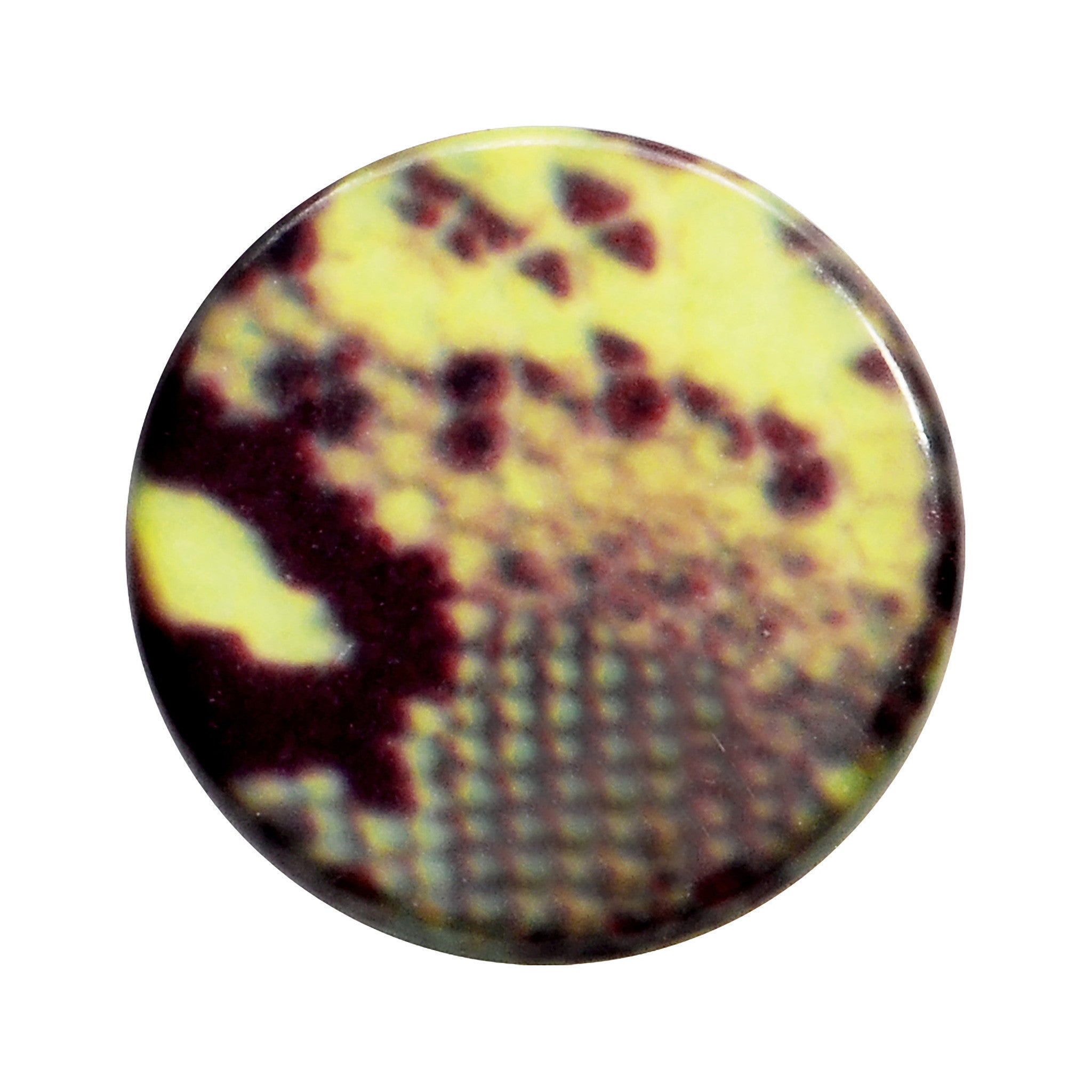 BodyCandy 4G Green Snake Skin Acrylic Saddle Plug — detail close-up