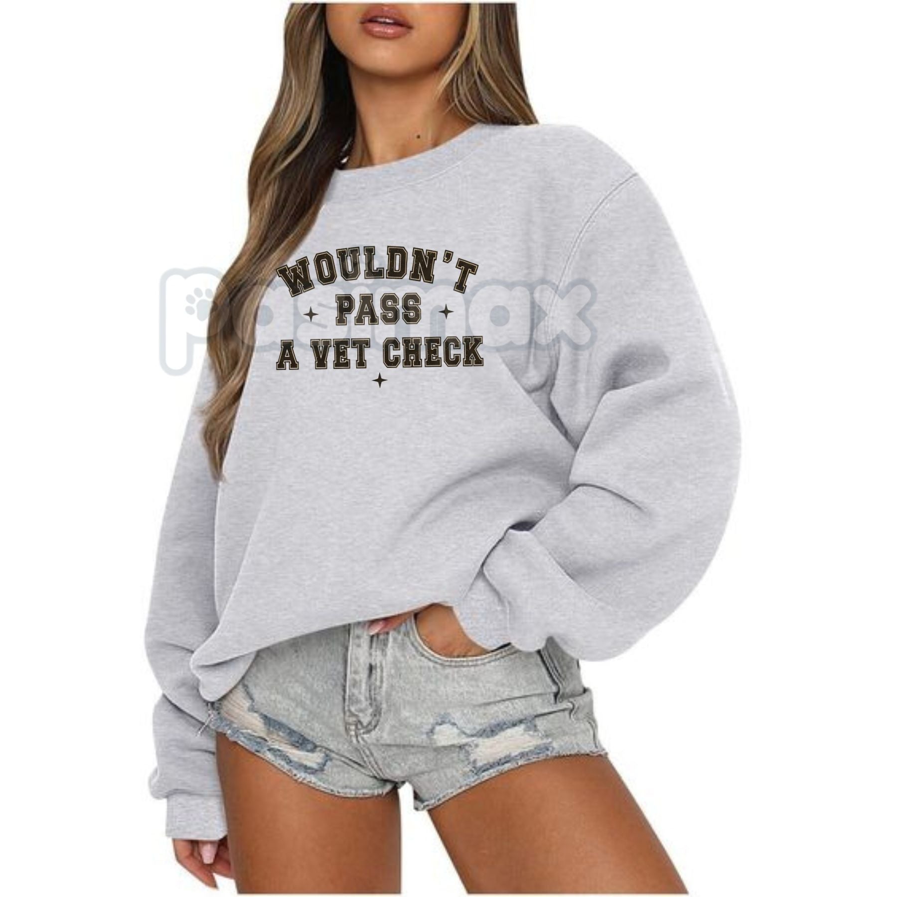 Pasimax "Wouldn't Pass A Vet Check" Sweatshirt – Funny Sarcastic Vet Tech & Pet Lover Crewneck — lifestyle context