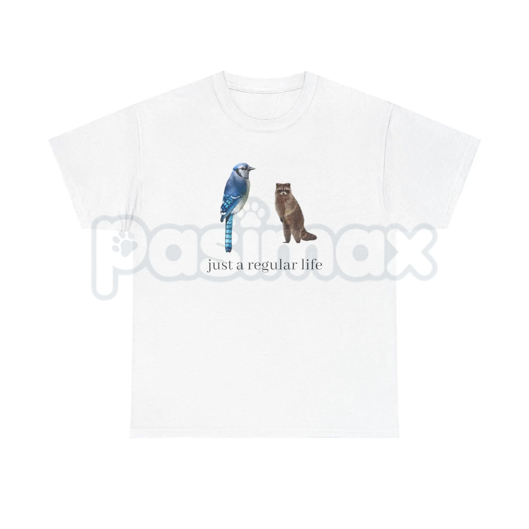Blue Jay and Raccoon "Just a Regular Life" T-Shirt – Retro 2010s Cartoon Graphic Tee, Premium 100% Cotton Slacker Humor Top, Soft Lived-In Heavyweight Nostalgia Pop Culture Shirt, Made in USA