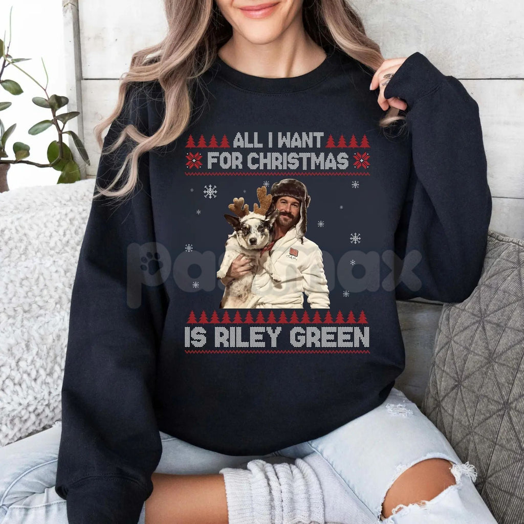 Pasimax Retro Christmas Wish Sweatshirt | Vintage Holiday Sweater | All I Want For Christmas Crewneck — lifestyle context