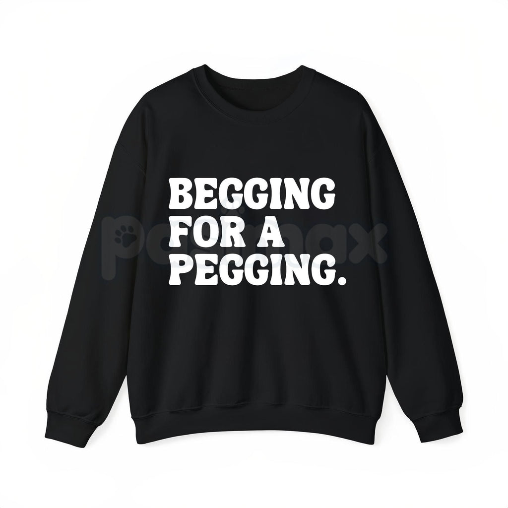 "Begging for A Pegging" Funny Letter Print T-Shirt – Adult Humor Graphic Tee, Unisex Sweatshirt & Hoodie