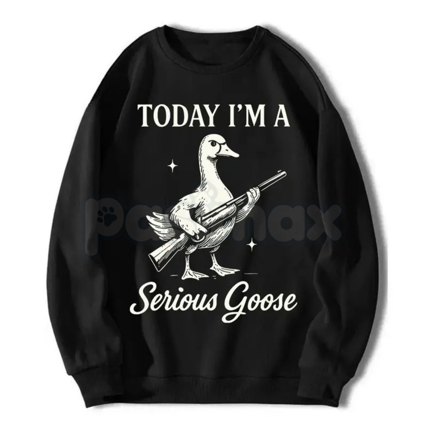 Pasimax Serious Goose Graphic Shirt – Quirky Animal Art Hoodie & Funny Slogan Streetwear Sweatshirt — lifestyle context