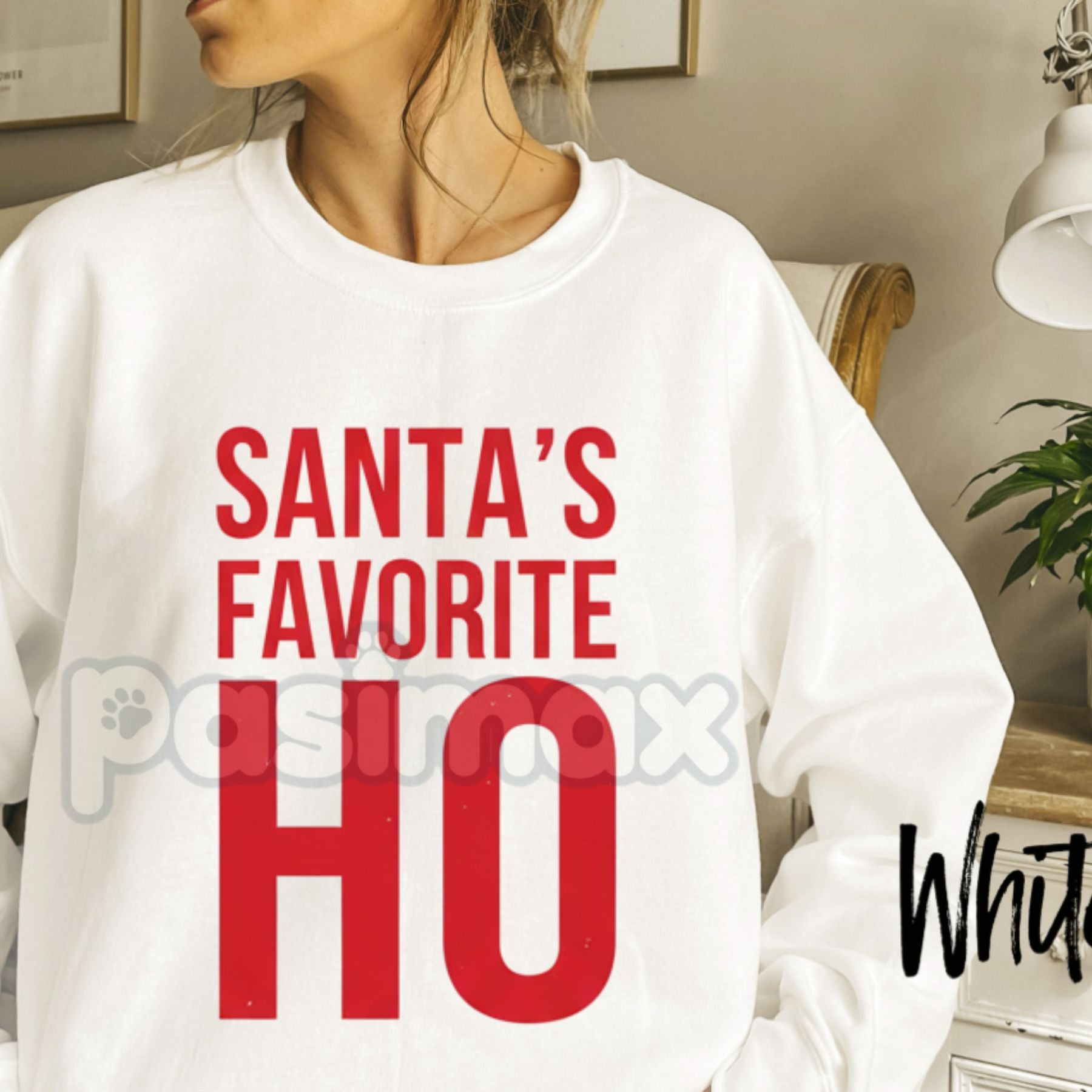 Pasimax Santa's Favorite Ho Vintage Christmas Sweatshirt | Retro Pinup Style Holiday Jumper | Naughty & Nice Xmas Gift — life