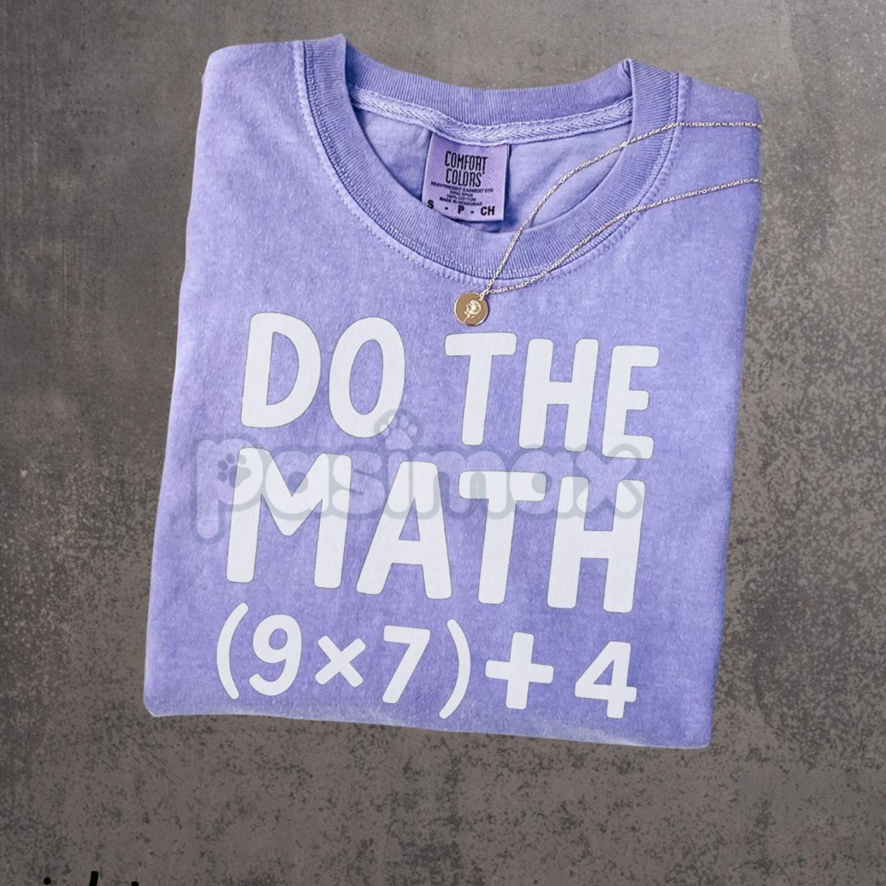 Pasimax Comfort Colors® Vintage Math Meme T-Shirt – '67 Problem Solver' Funny Teacher Shirt, Retro Classroom Humor Gift — lif