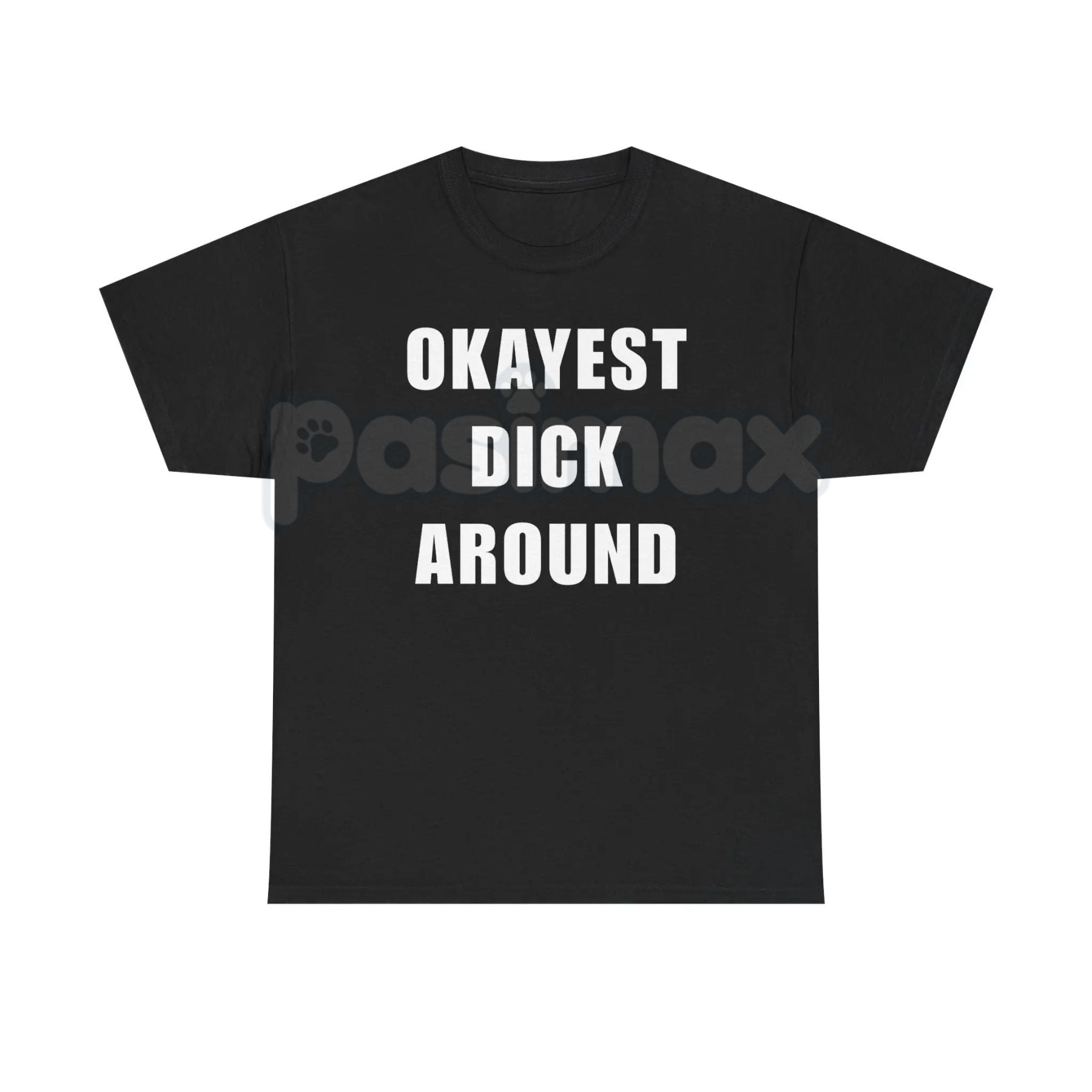 "Okayest Weiner Around" Funny T-Shirt – Sarcastic Weiner Dog Graphic Tee, Premium 100% Cotton Dachshund Humor Top, Soft Lived-In Heavyweight Doxie Lover Shirt, Made in USA
