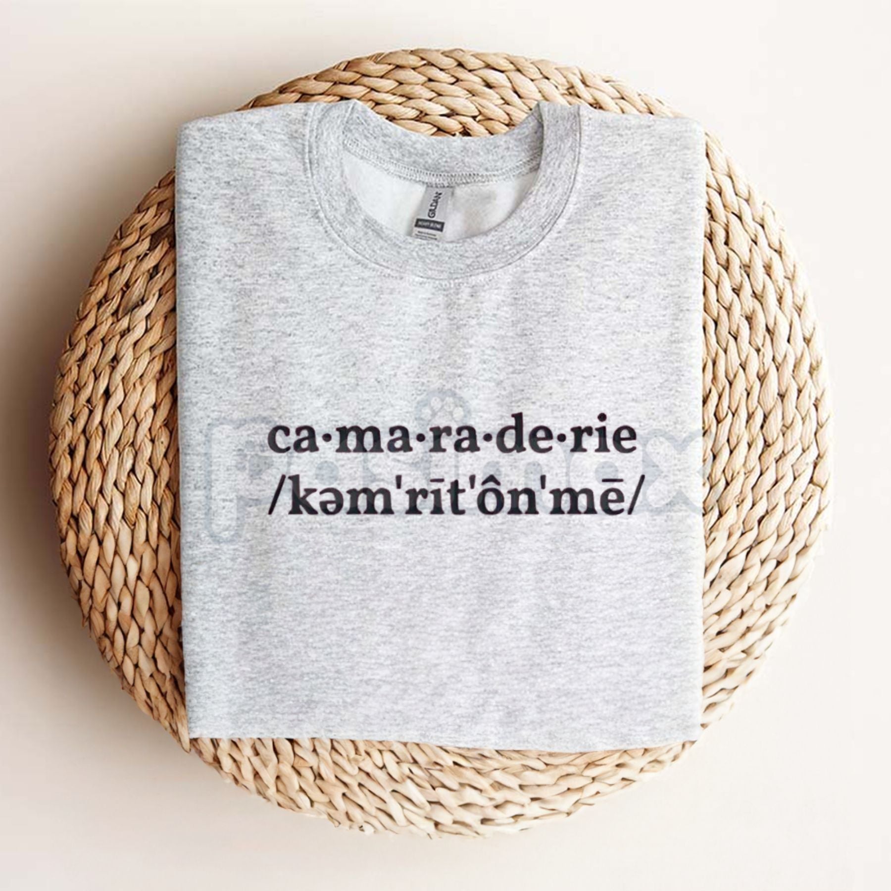 Pasimax Sabrina Carpenter Camaraderie Embroidered Shirt – Unisex, Relaxed Fit Tee for Concert & Fan Apparel — lifestyle conte