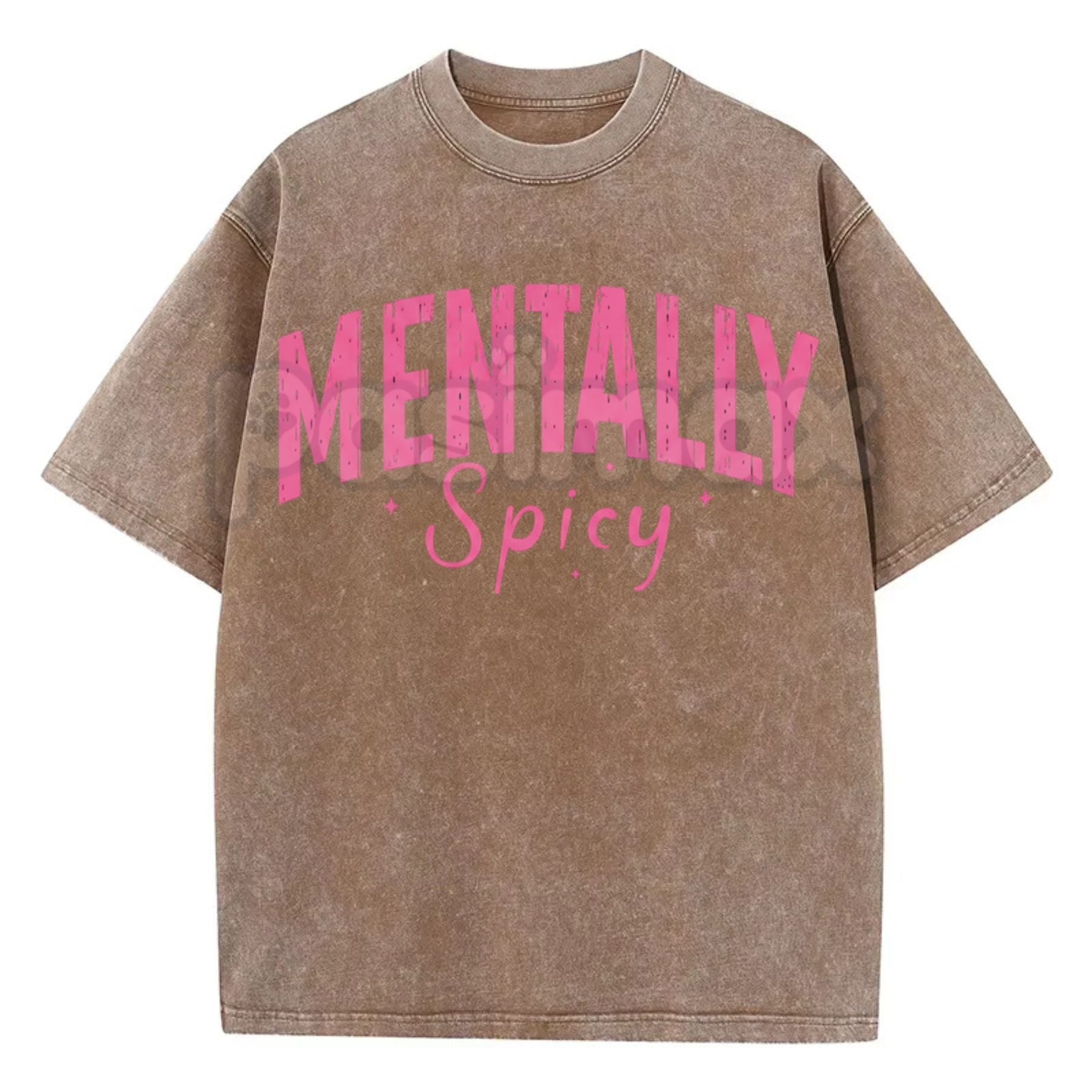 Pasimax Mentally Spicy Washed T-Shirt – Funny Sarcastic Quote Tee, Vintage Oversized Graphic Shirt — lifestyle context