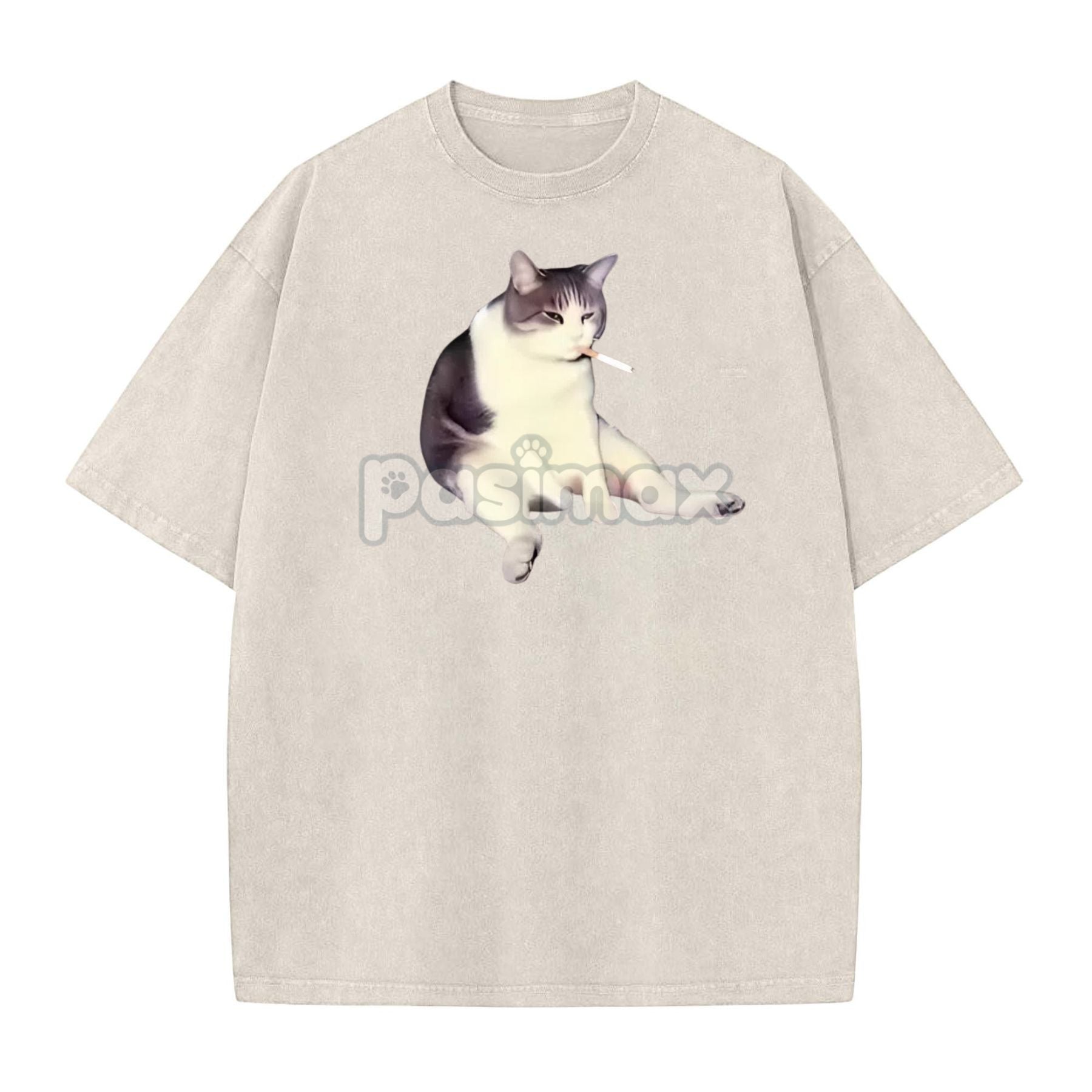 Pasimax 'Cat Smoke' Funny Animal Graphic Tee — lifestyle context