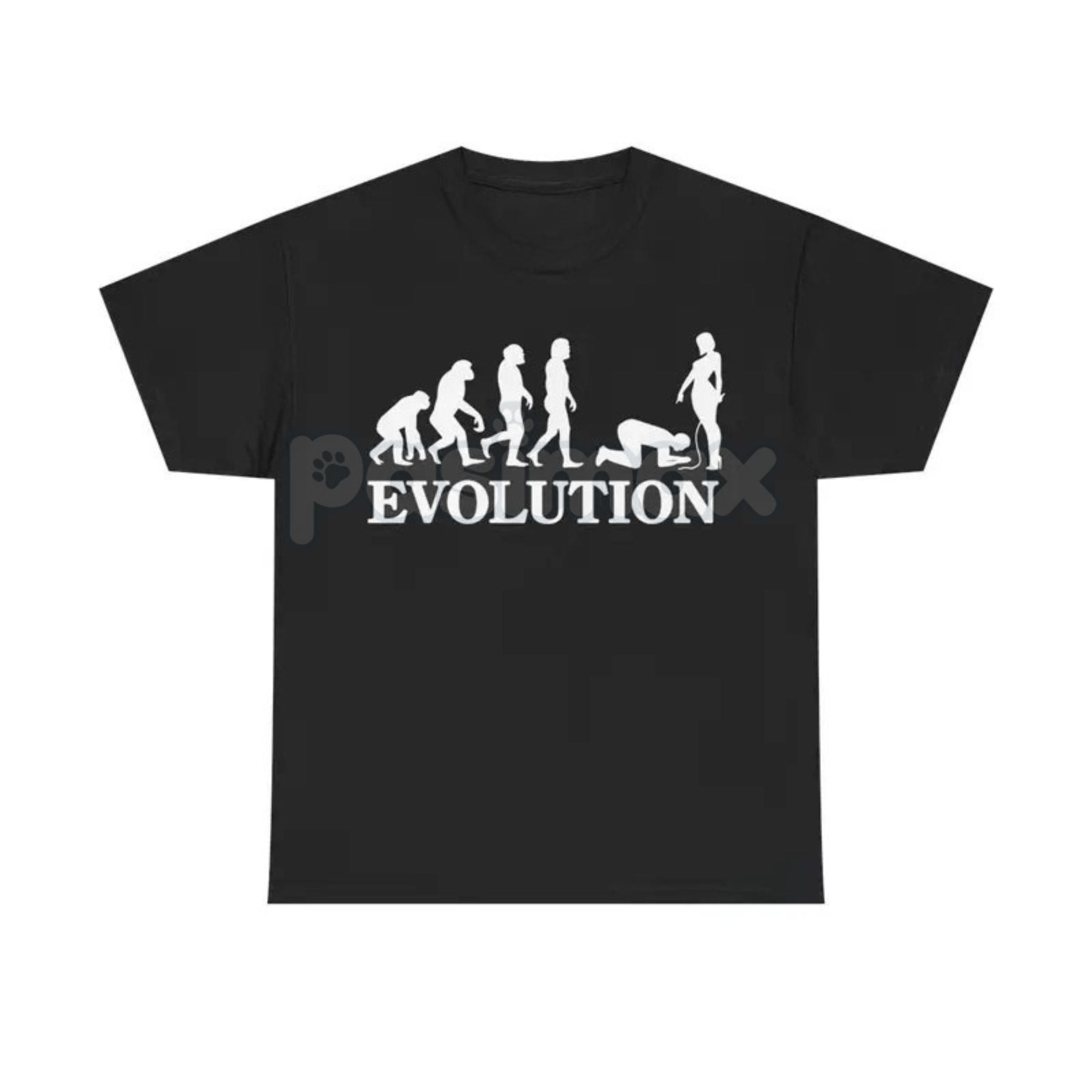 Pasimax "Evolution Simp" Funny Graphic T-Shirt — lifestyle context