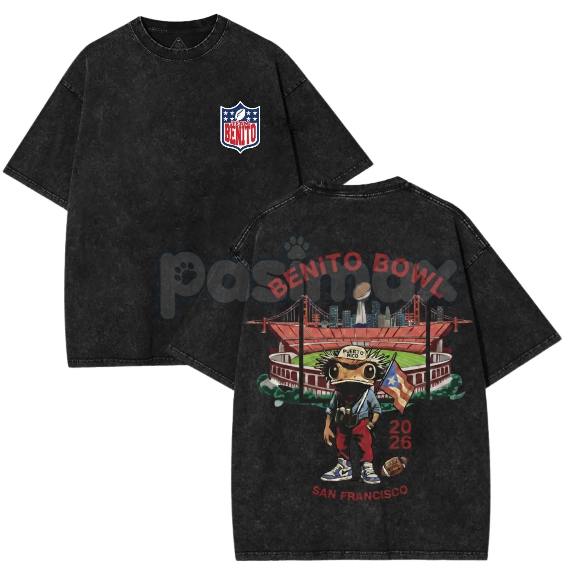Pasimax Benito Bowl 2026 Vintage Washed Graphic Tee – Bad Bunny Inspired Retro Music Merch — lifestyle context