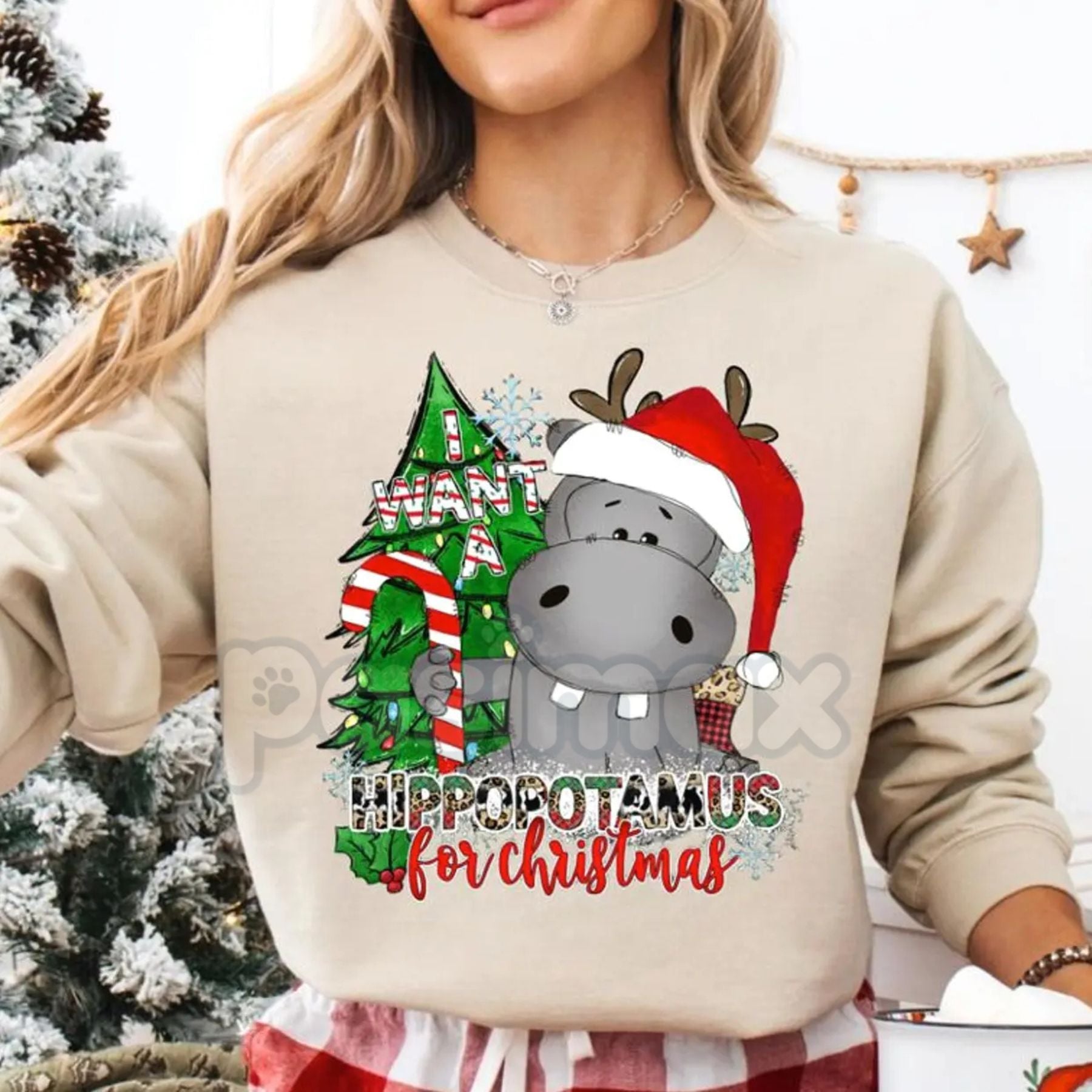 Pasimax I Want a Hippopotamus for Christmas Sweatshirt | Cute Nostalgic Holiday Song Jumper | Funny Hippo Xmas Crewneck Gift 