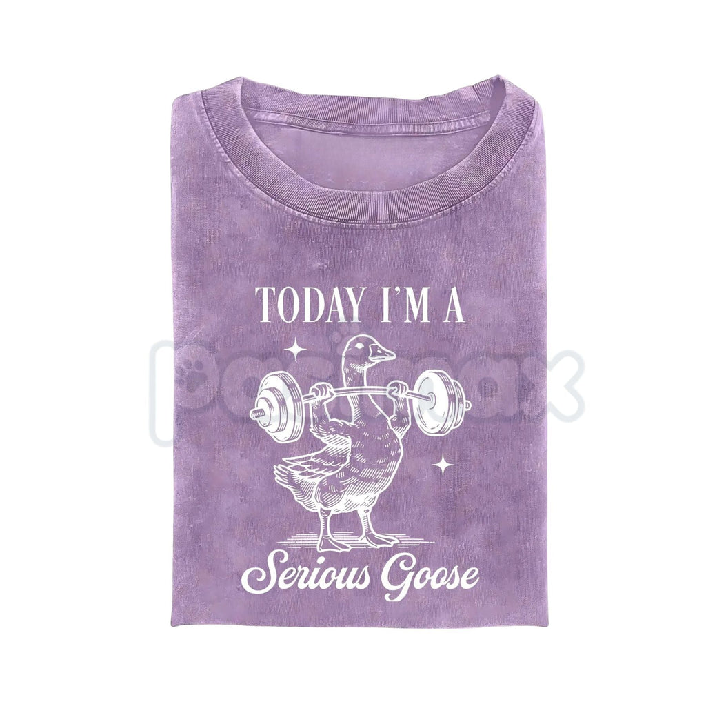 Today I'm a Serious Goose Funny T-Shirt – Men’s Vintage Washed Graphic Tee, Lightweight Sarcastic Animal Streetwear Top