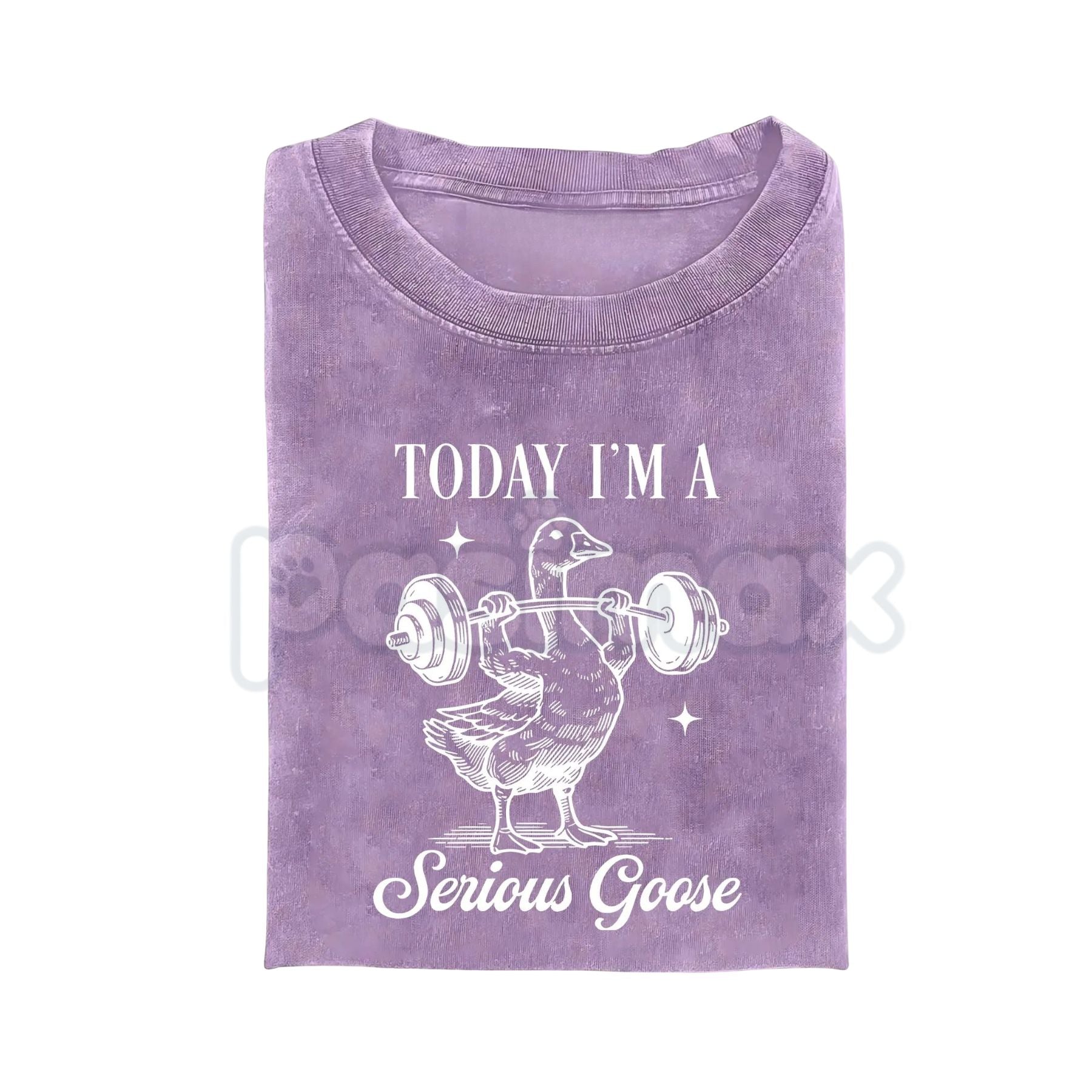 Today I'm a Serious Goose Funny T-Shirt – Men’s Vintage Washed Graphic Tee, Lightweight Sarcastic Animal Streetwear Top