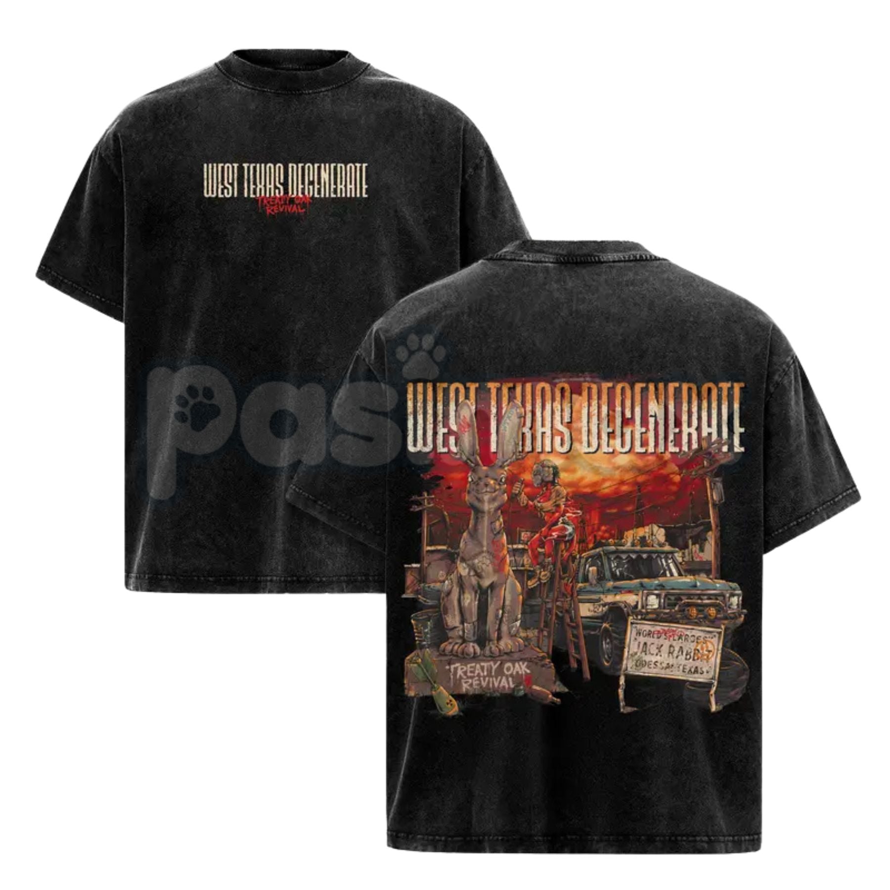 Pasimax Treaty Oak Revival "West Texas Degenerate" Retro T-Shirt – Washed Heavy Cotton Band Tee — detail close-up
