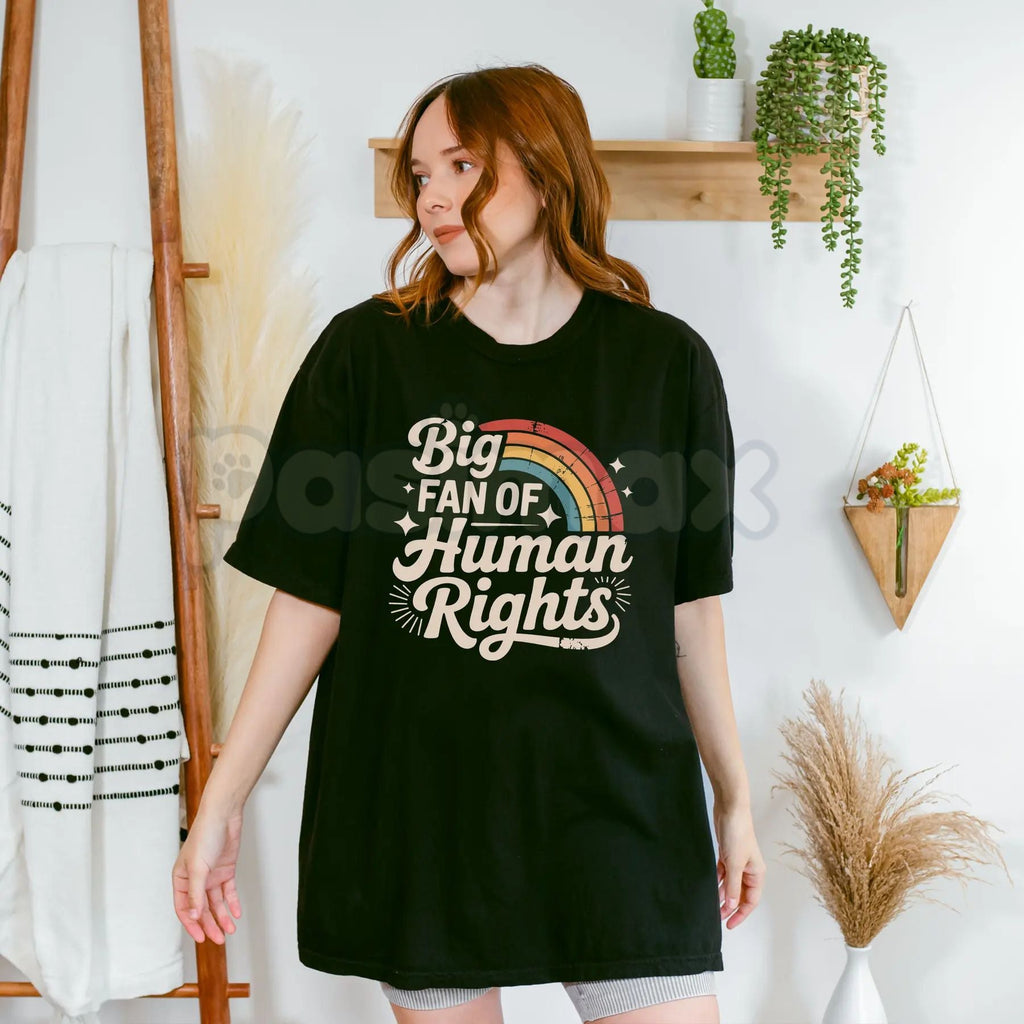 Pasimax "Big Fan of Human Rights" Aesthetic Retro Shirt - Vintage 70s Rainbow Equality Tee, Minimalist Social Justice Graphic