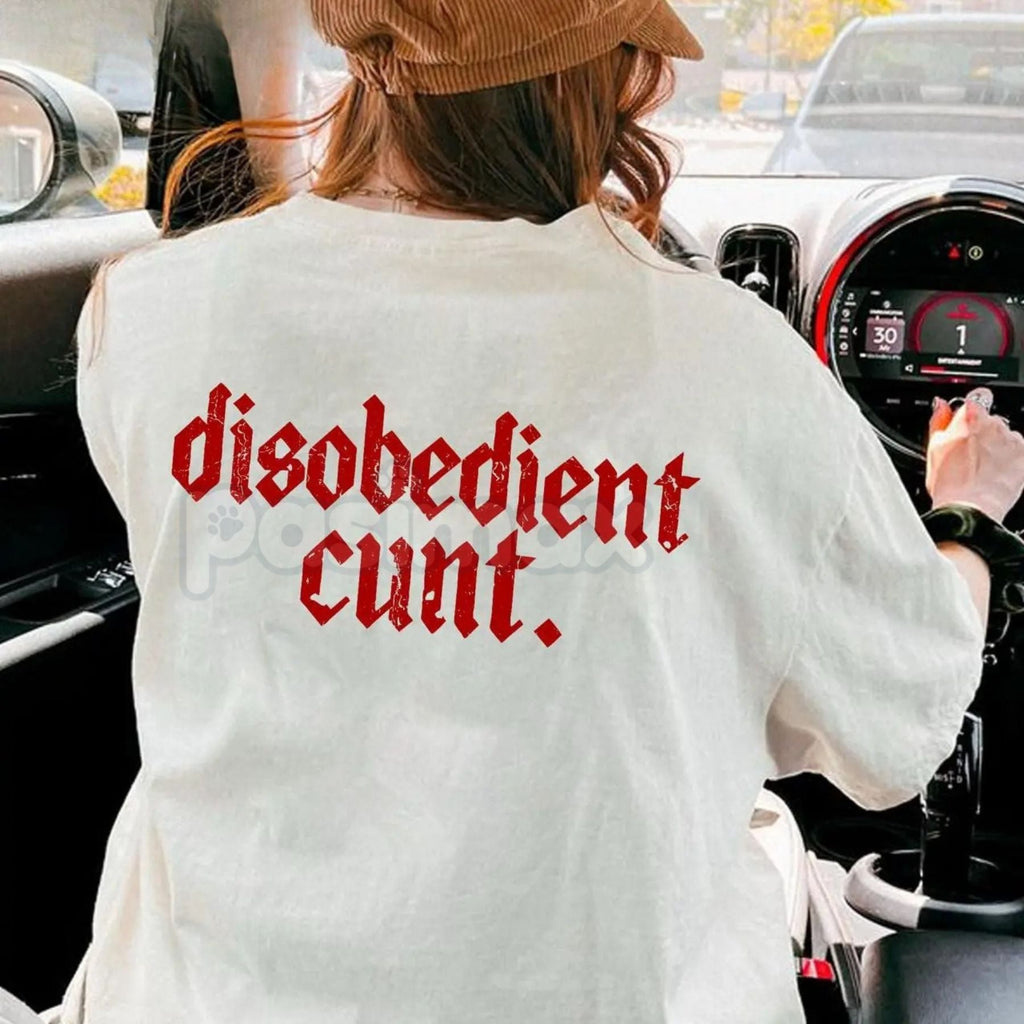 Pasimax "Disobedient" Graphic T-Shirt - Rebel Streetwear Tee, Unisex Statement Shirt, Anti-Establishment Apparel — lifestyle 