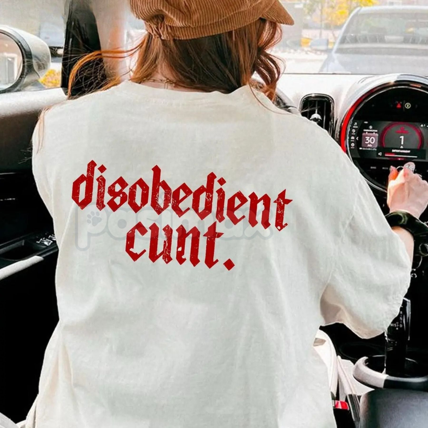 Pasimax "Disobedient" Graphic T-Shirt - Rebel Streetwear Tee, Unisex Statement Shirt, Anti-Establishment Apparel — lifestyle 