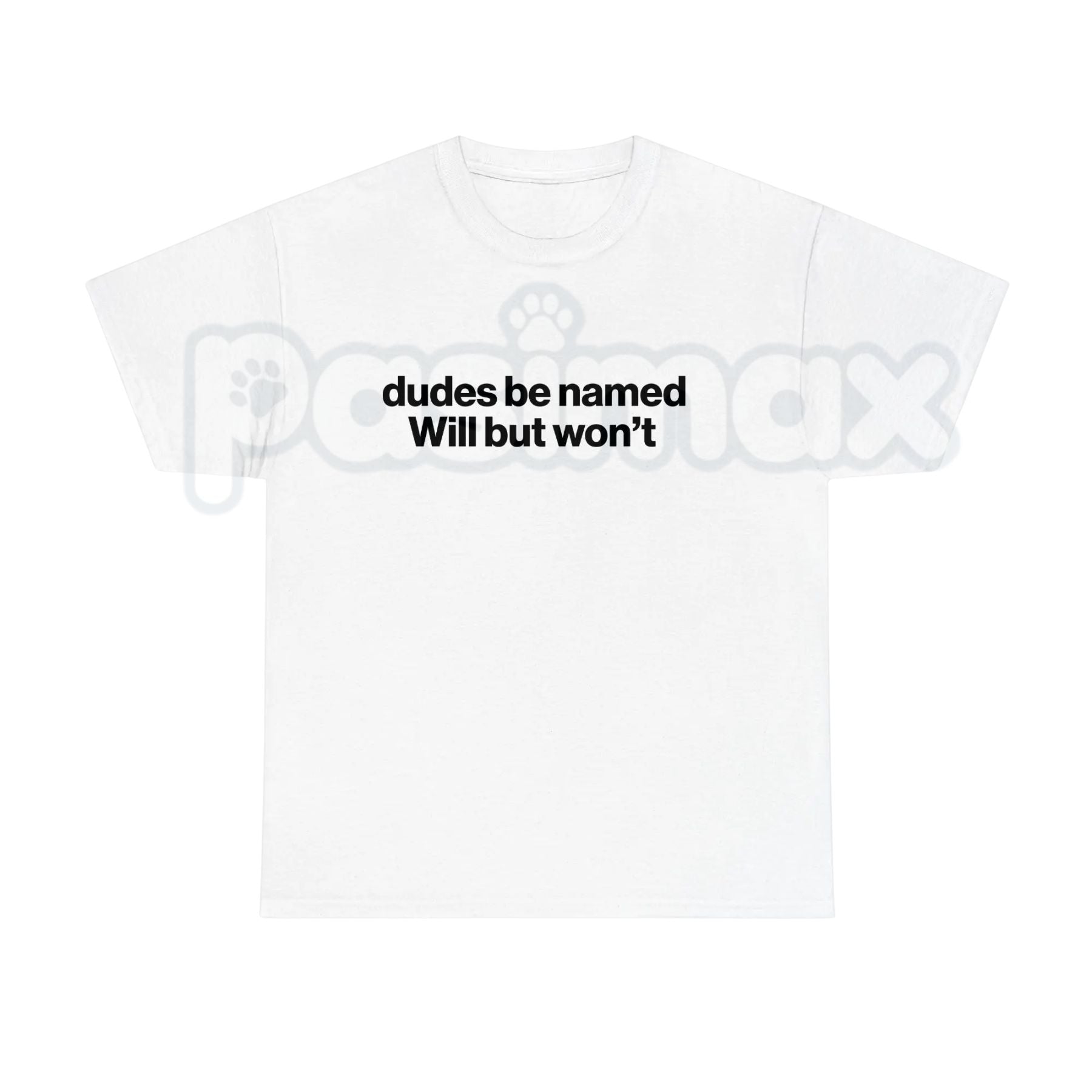 "Dudes Be Named Will But Won't" Funny T-Shirt – Sarcastic Wordplay Graphic Tee, Premium 100% Cotton Unisex Humorous Top, Soft Lived-In Heavyweight Meme Culture Shirt, Made in USA