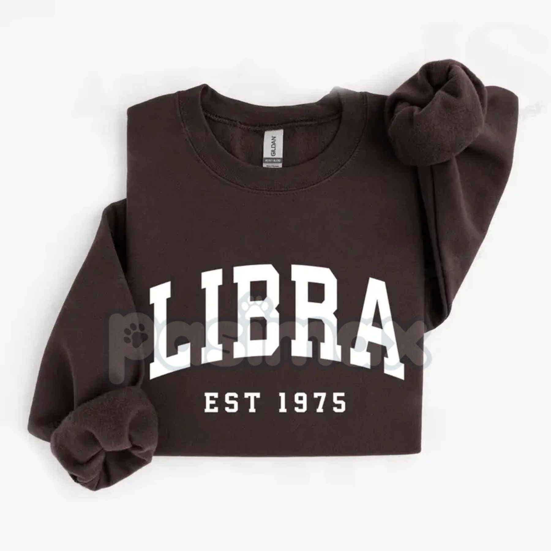 Pasimax Vintage Zodiac Constellation Sweatshirt – Personalized Astrology Est. [Year] Apparel — lifestyle context