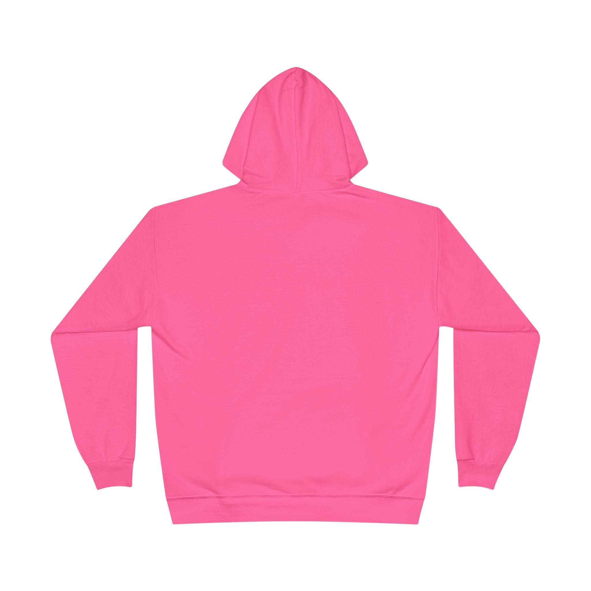 APL Pickleball Shield Hoodie — Retro Pickleball Pullover