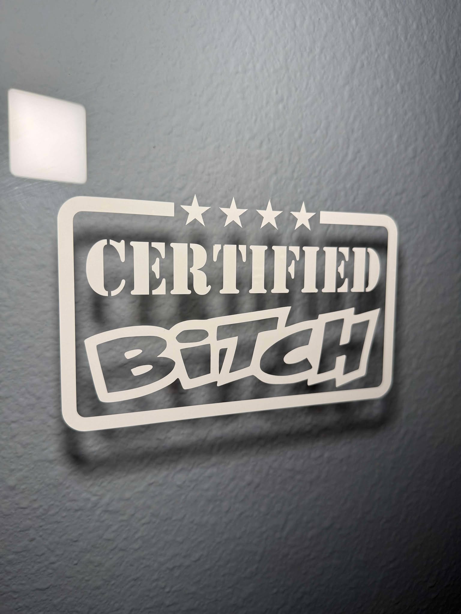 Luckless Outfitters Certified B*tch Decal — main product shot