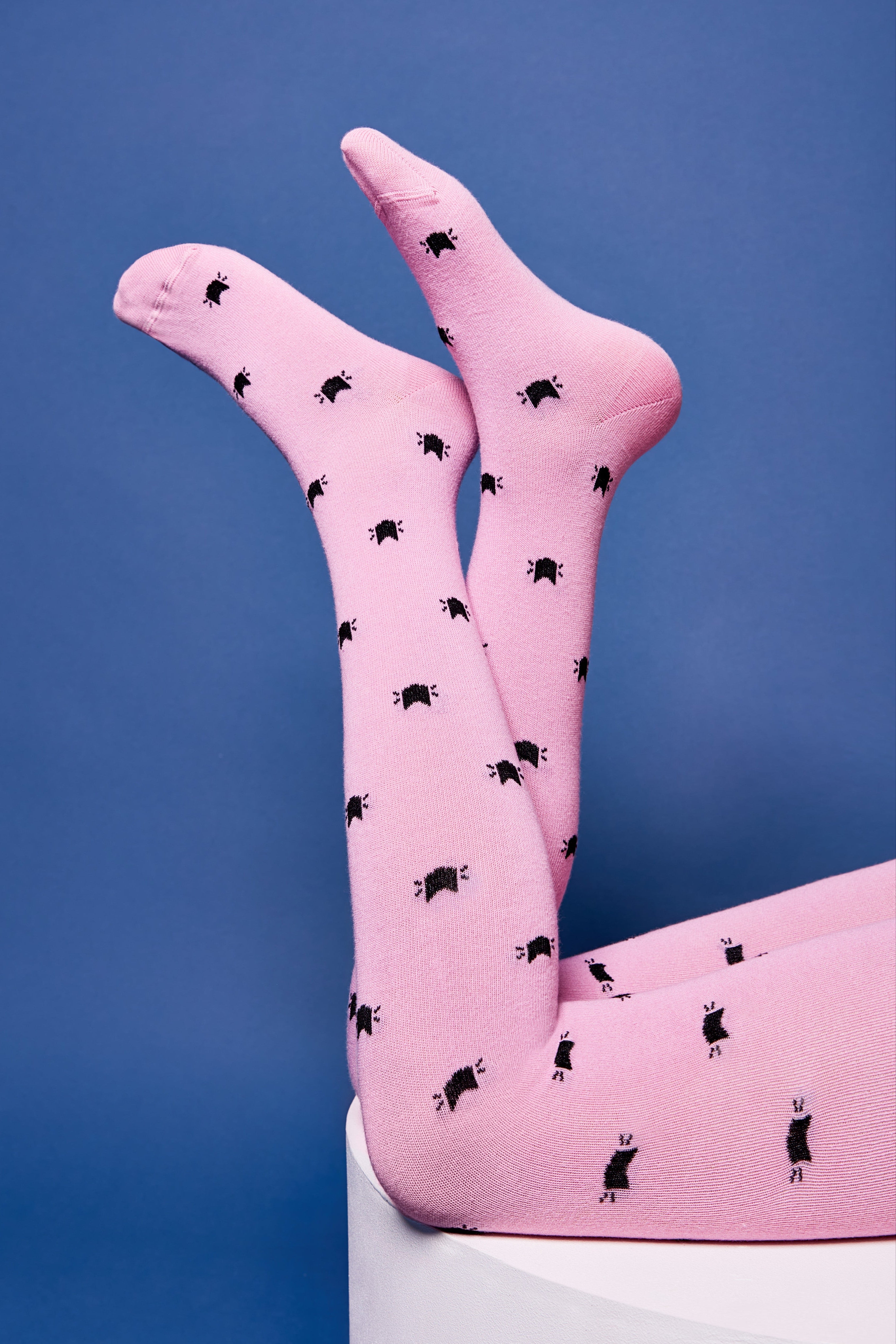 TheRanok.com Conte-Kids Cotton Tights - Tip-Top 567 — back view
