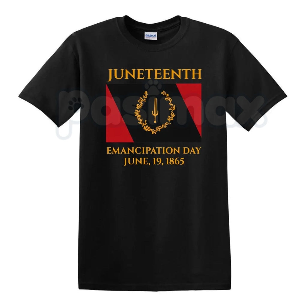 Juneteenth Emancipation Day T-Shirt – Black American Heritage Flag June 19 1865 Graphic Tee