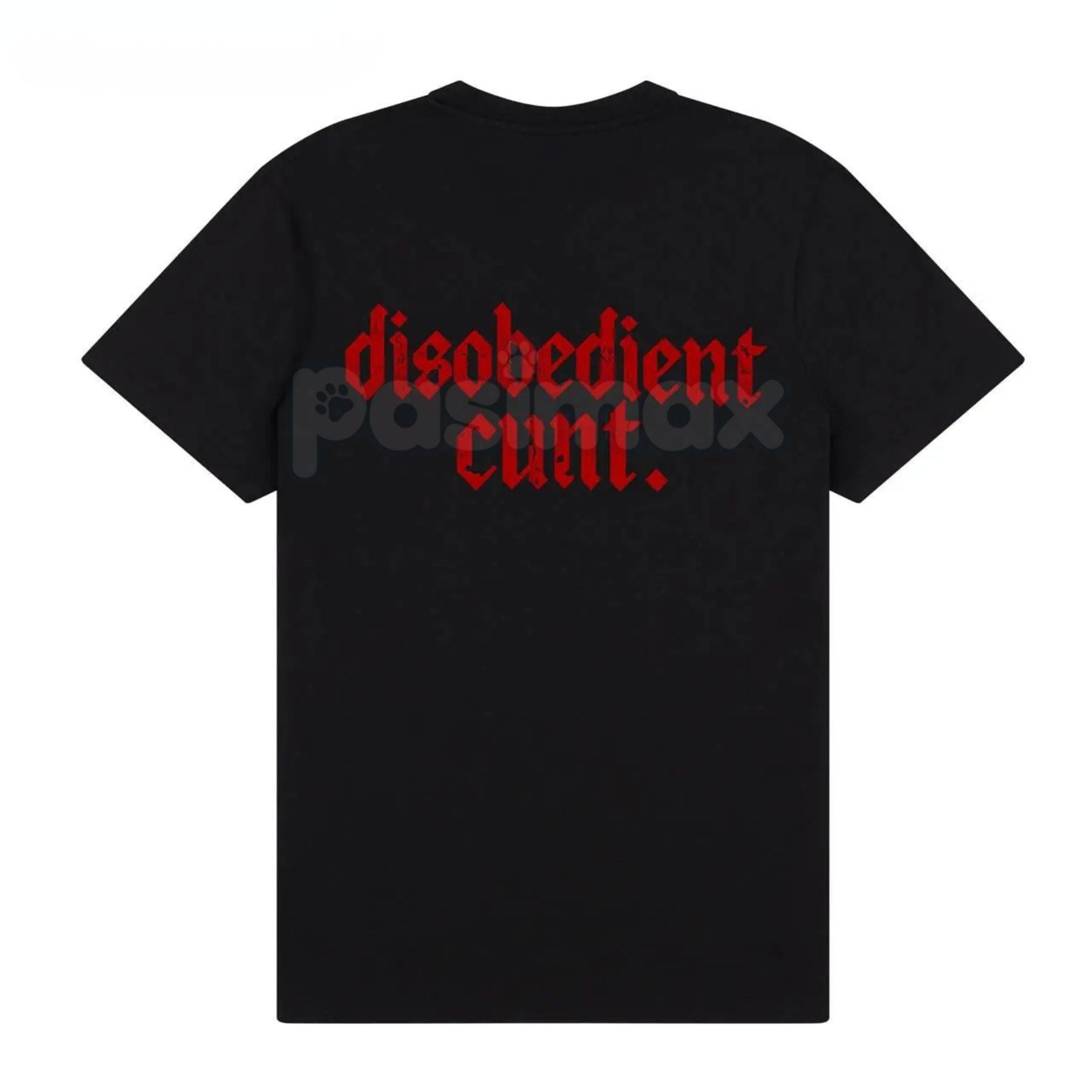 Pasimax "Disobedient" Graphic T-Shirt - Rebel Streetwear Tee, Unisex Statement Shirt, Anti-Establishment Apparel — side view