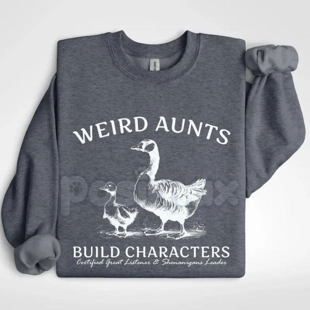Pasimax Weird Aunts Build Character Sweatshirt | Funny Cool Aunt Crewneck | Aesthetic Fun Aunt Jumper | Gift for Best Aunt Ev