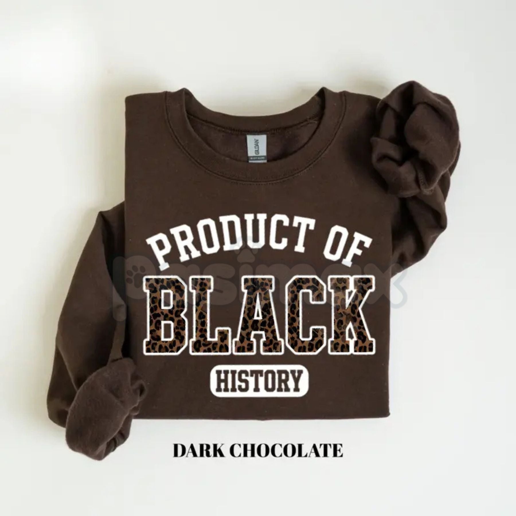 Pasimax Product of Black History Sweatshirt | Black History Month 2026 Crewneck | African American Pride Outfit | Black Excel