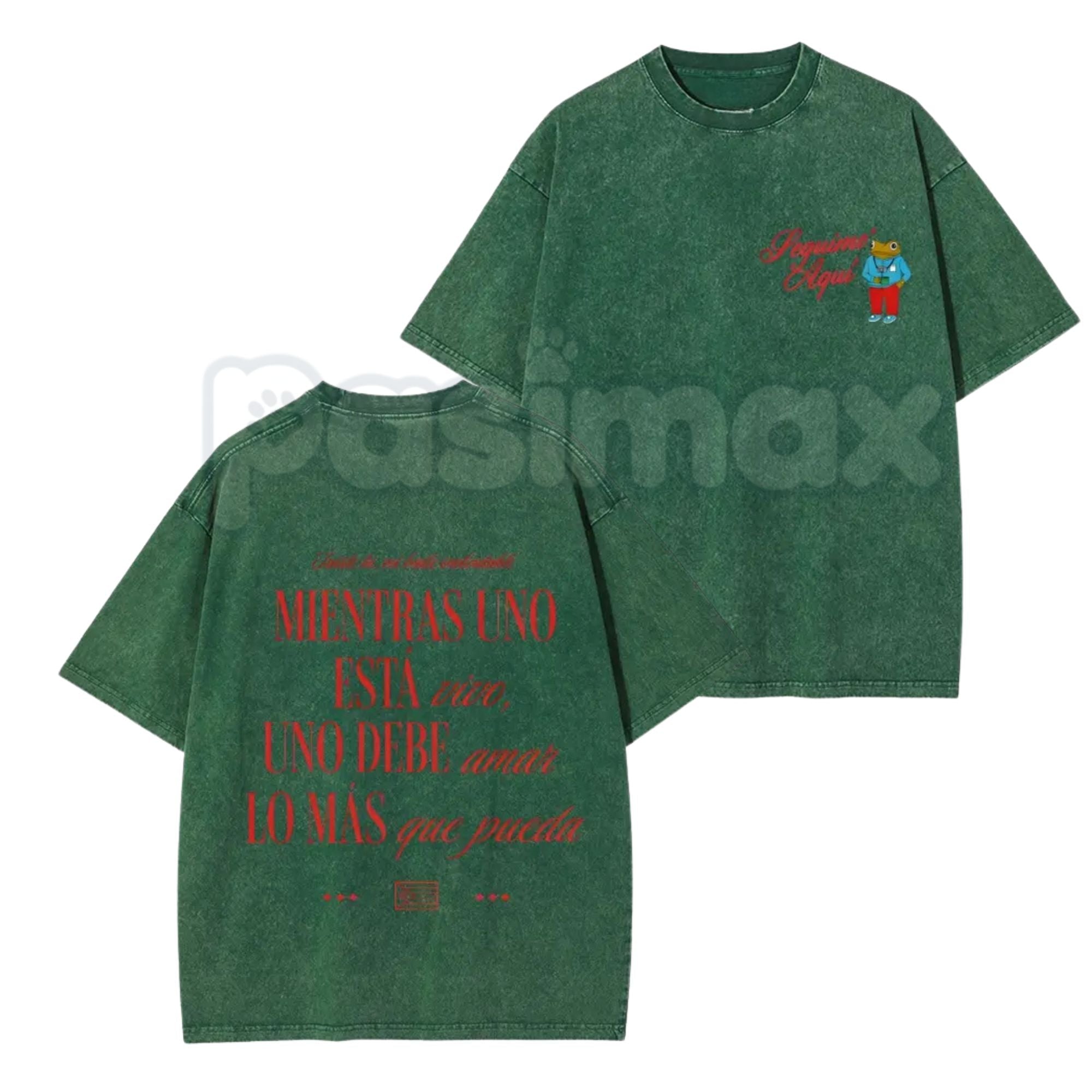 Pasimax Seguimo Aqui Sapo Concho Washed T-Shirt – Puerto Rican Reggaeton Streetwear, Perreo Babe Graphic Tee — side view