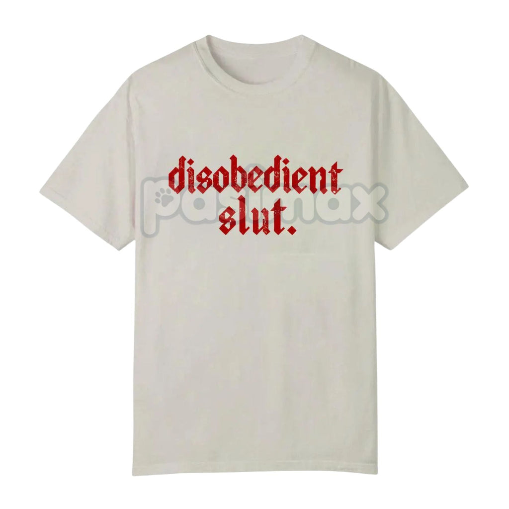 Pasimax Rebellious Attitude Graphic Tee - Bold Gothic Letter Print Shirt, Unisex Edgy Aesthetic Apparel, Dark Aesthetic Stree