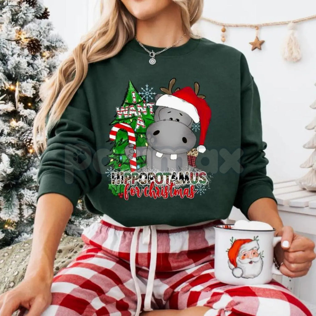 Pasimax I Want a Hippopotamus for Christmas Sweatshirt | Cute Nostalgic Holiday Song Jumper | Funny Hippo Xmas Crewneck Gift 
