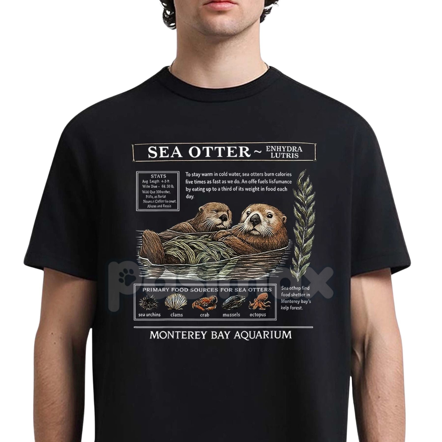Pasimax Sea Otter Monterey Bay Aquarium T-Shirt — detail close-up