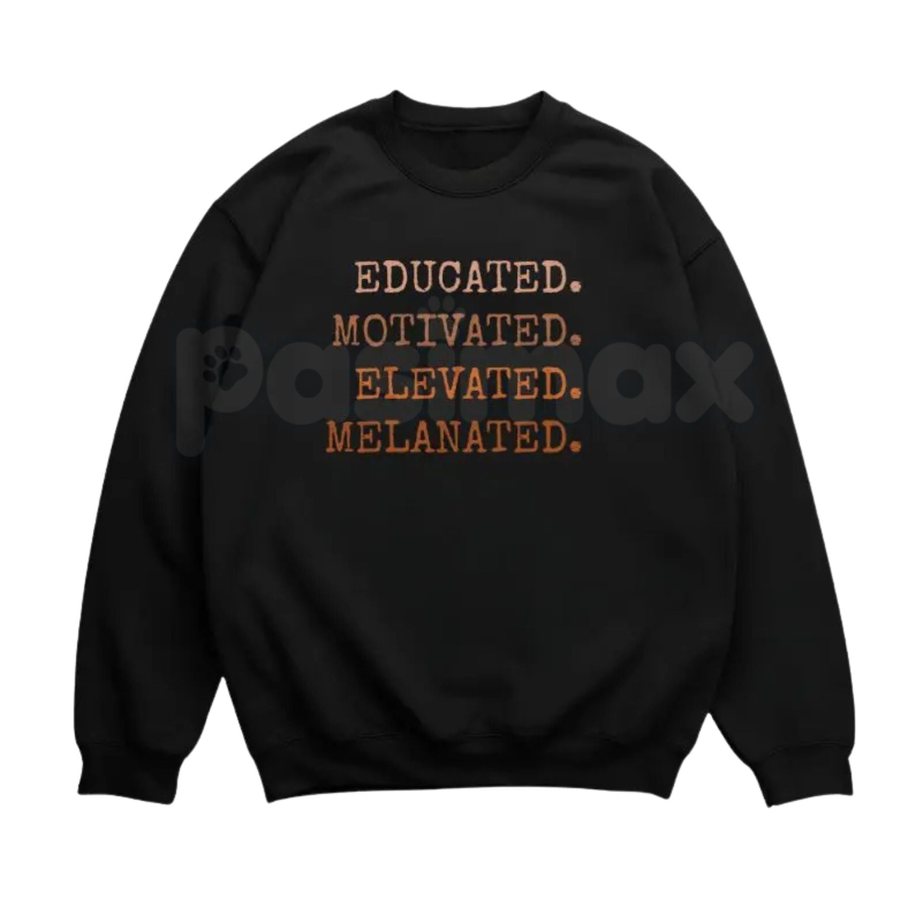 Pasimax Educated Motivated Elevated Melanated Sweatshirt | Retro University Black Excellence Crewneck | Vintage HBCU Pride Ju