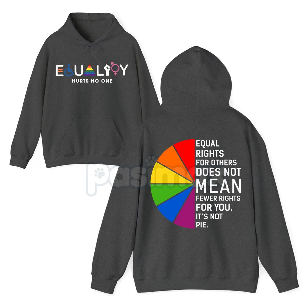 Pasimax Equality 2-Sided Hoodie – "Equal Rights For Others Doesn't Mean Fewer Rights For You" Statement Pullover, Social Just