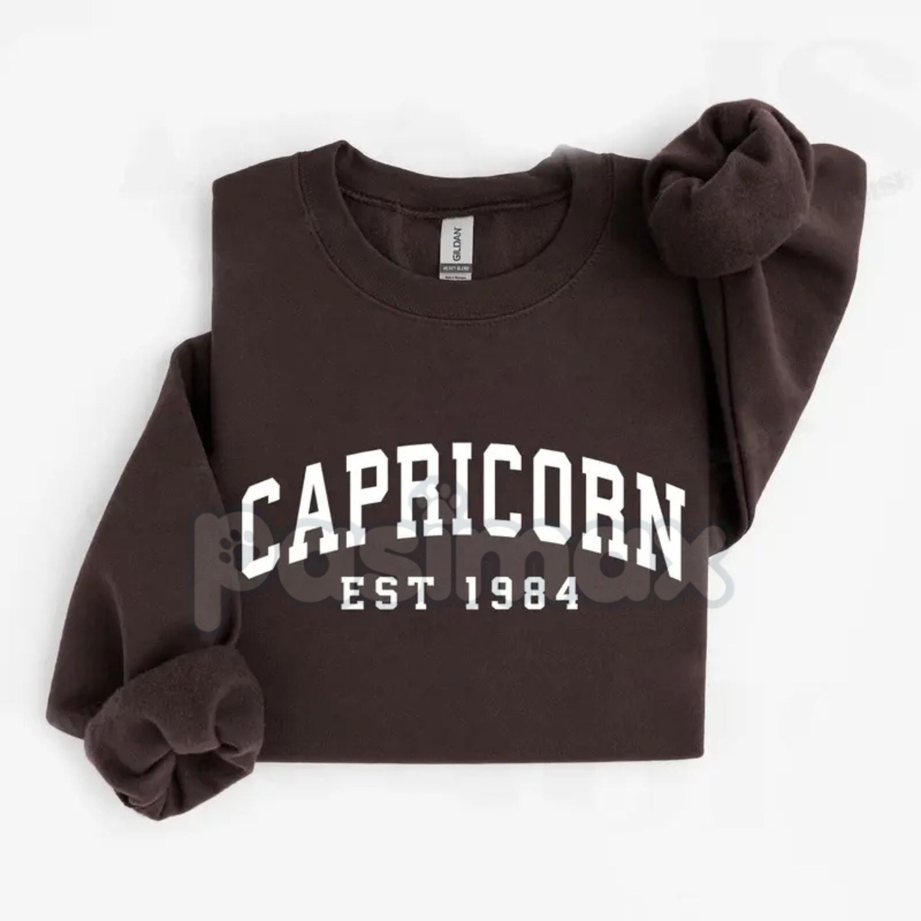 Pasimax Vintage Zodiac Constellation Sweatshirt – Personalized Astrology Est. [Year] Apparel — side view
